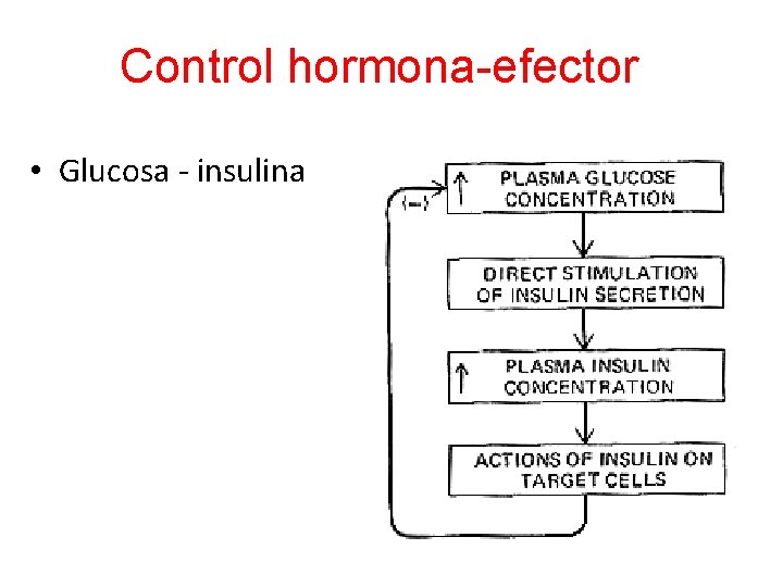 Control hormona-efector • Glucosa - insulina 