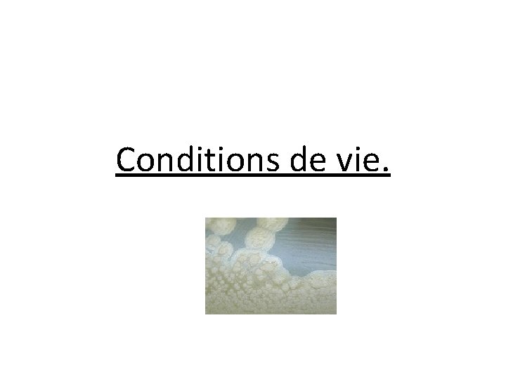 Conditions de vie. 