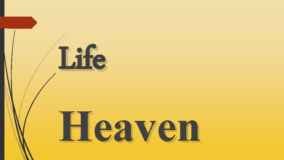 Life Heaven 