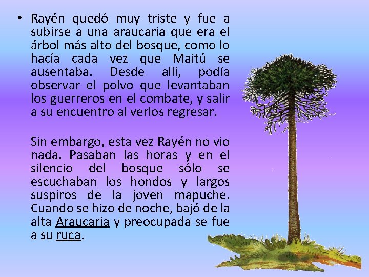  • Rayén quedó muy triste y fue a subirse a una araucaria que