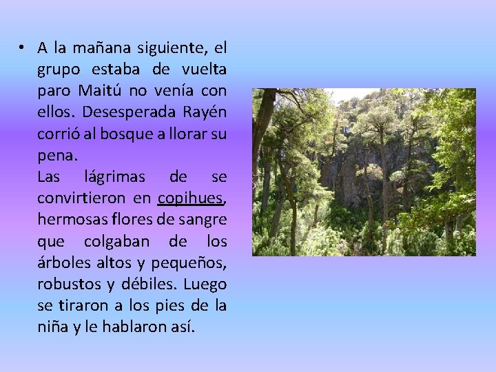  • A la mañana siguiente, el grupo estaba de vuelta paro Maitú no