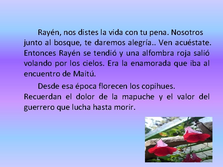 Rayén, nos distes la vida con tu pena. Nosotros junto al bosque, te daremos