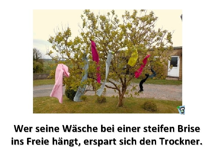 Wer seine Wäsche bei einer steifen Brise ins Freie hängt, erspart sich den Trockner.