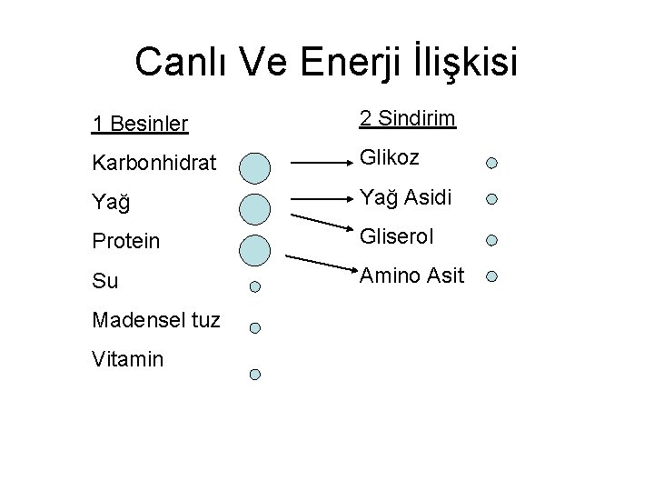 Canlı Ve Enerji İlişkisi 1 Besinler 2 Sindirim Karbonhidrat Glikoz Yağ Asidi Protein Gliserol