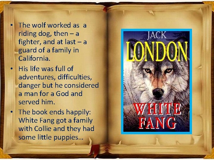  • The wolf worked as a riding dog, then – a fighter, and