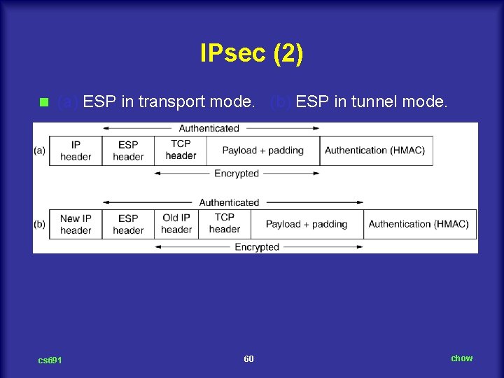 IPsec (2) n (a) ESP in transport mode. (b) ESP in tunnel mode. cs