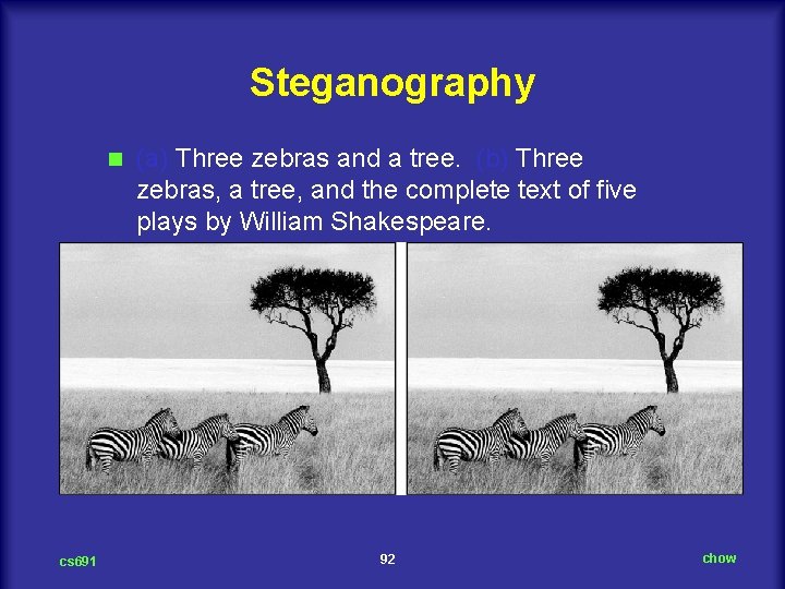 Steganography n cs 691 (a) Three zebras and a tree. (b) Three zebras, a