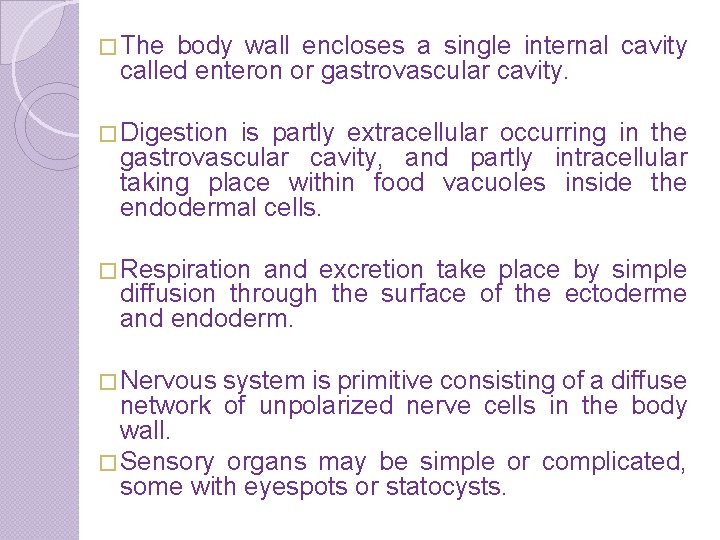 � The body wall encloses a single internal cavity called enteron or gastrovascular cavity.