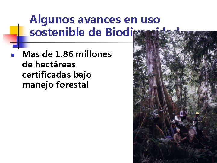 Algunos avances en uso sostenible de Biodiversidad n Mas de 1. 86 millones de