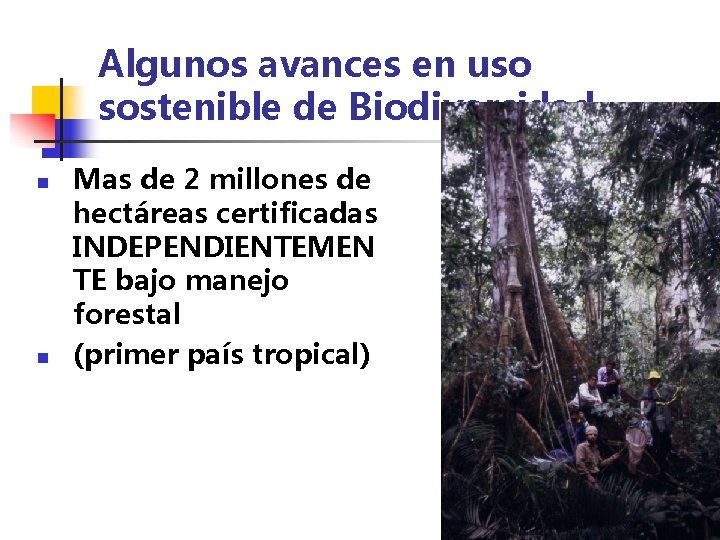 Algunos avances en uso sostenible de Biodiversidad n n Mas de 2 millones de