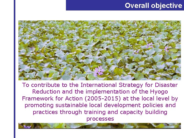 Overall objective To contribute to the International Strategy for Disaster Reduction and the implementation