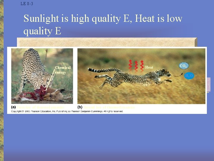 LE 8 -3 Sunlight is high quality E, Heat is low quality E Heat