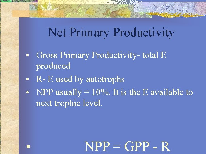 Net Primary Productivity • Gross Primary Productivity- total E produced • R- E used