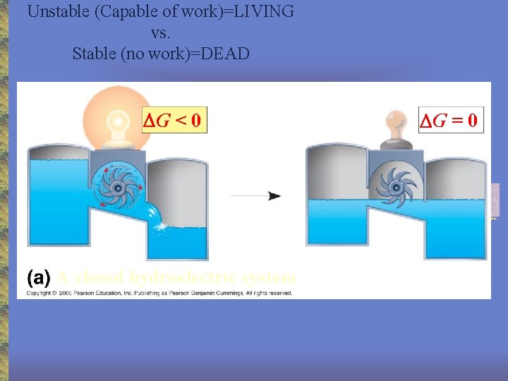 Unstable (Capable of work)=LIVING vs. Stable (no work)=DEAD G < 0 A closed hydroelectric