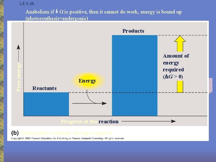 LE 8 -6 b Anabolism if G is positive, then it cannot do work,