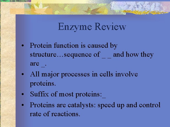 Enzyme Review • Protein function is caused by structure…sequence of _ _ and how