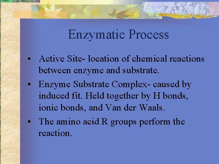 Enzymatic Process • Active Site- location of chemical reactions between enzyme and substrate. •