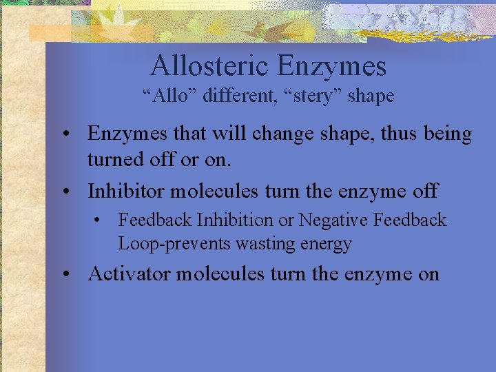 Allosteric Enzymes “Allo” different, “stery” shape • Enzymes that will change shape, thus being