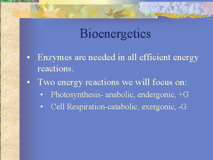 Bioenergetics • Enzymes are needed in all efficient energy reactions. • Two energy reactions