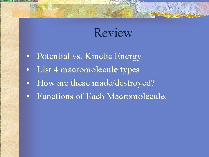 Review • • Potential vs. Kinetic Energy List 4 macromolecule types How are these