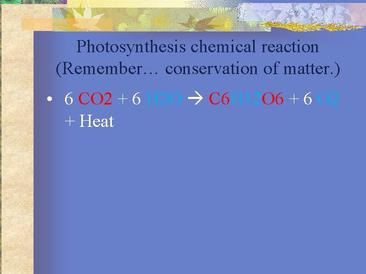 Photosynthesis chemical reaction (Remember… conservation of matter. ) • 6 CO 2 + 6