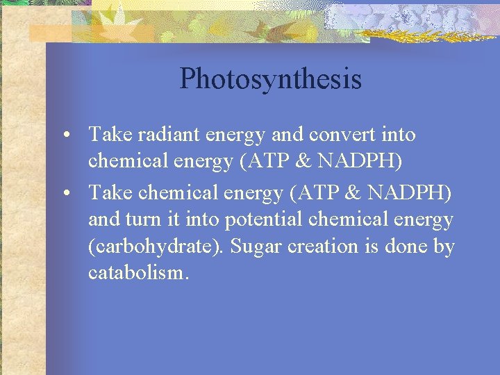 Photosynthesis • Take radiant energy and convert into chemical energy (ATP & NADPH) •
