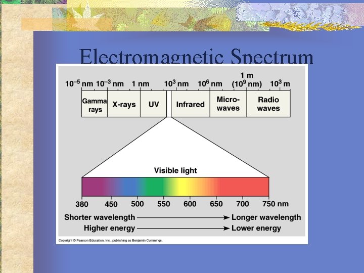 Electromagnetic Spectrum 