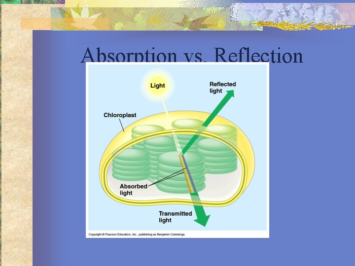 Absorption vs. Reflection 