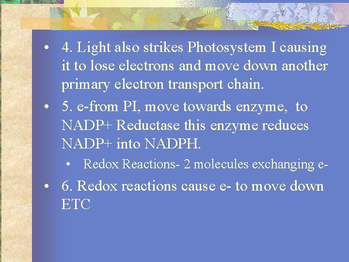  • 4. Light also strikes Photosystem I causing it to lose electrons and