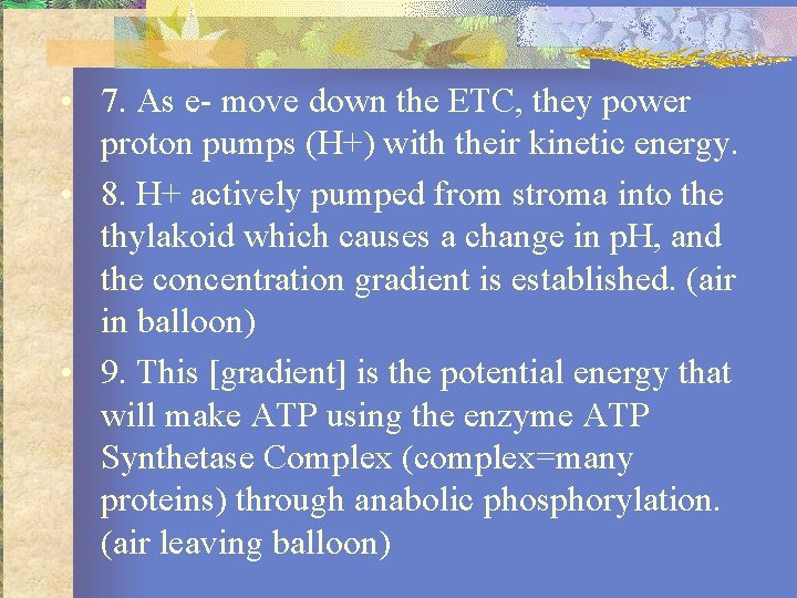  • 7. As e- move down the ETC, they power proton pumps (H+)