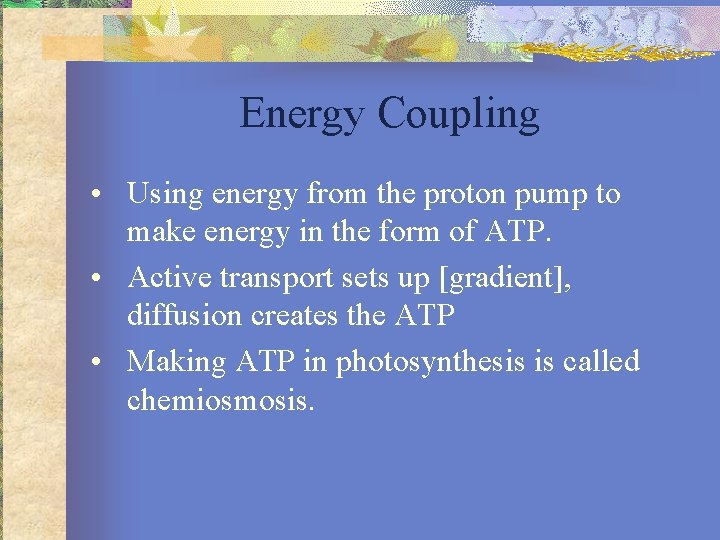 Energy Coupling • Using energy from the proton pump to make energy in the