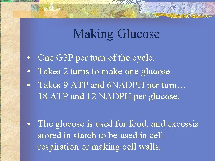 Making Glucose • One G 3 P per turn of the cycle. • Takes