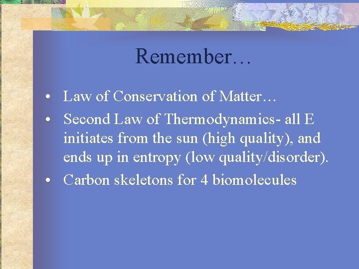 Remember… • Law of Conservation of Matter… • Second Law of Thermodynamics- all E