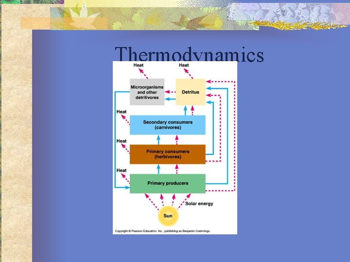 Thermodynamics 