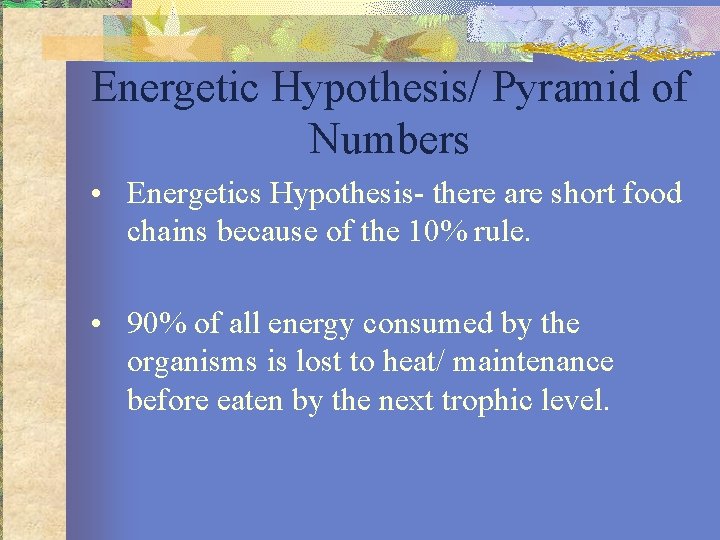 Energetic Hypothesis/ Pyramid of Numbers • Energetics Hypothesis- there are short food chains because