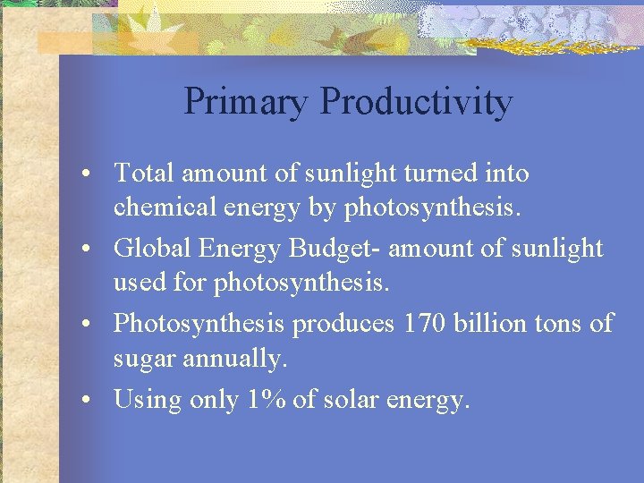 Primary Productivity • Total amount of sunlight turned into chemical energy by photosynthesis. •