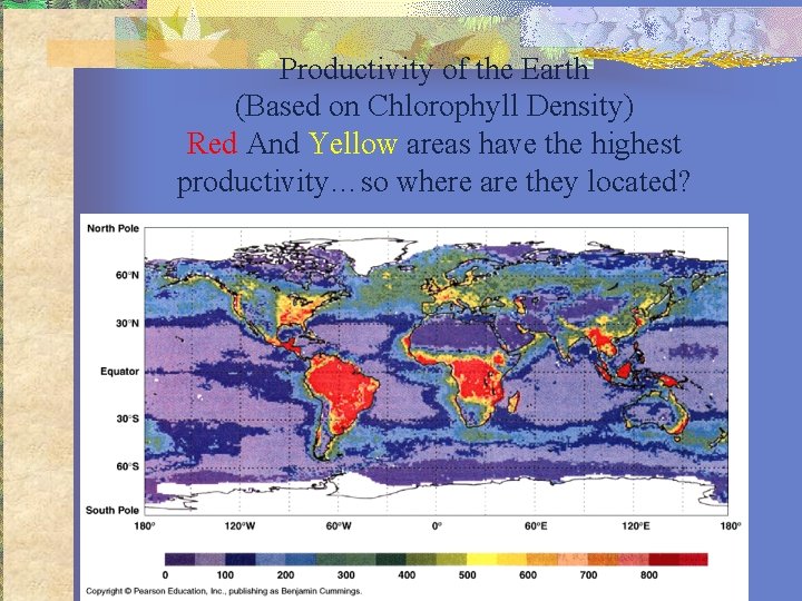 Productivity of the Earth (Based on Chlorophyll Density) Red And Yellow areas have the