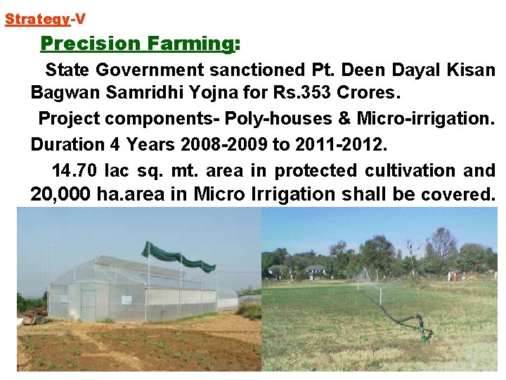 Strategy-V Precision Farming: State Government sanctioned Pt. Deen Dayal Kisan Bagwan Samridhi Yojna for
