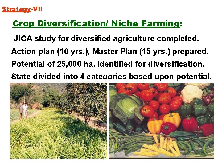 Strategy-VII Crop Diversification/ Niche Farming: JICA study for diversified agriculture completed. Action plan (10