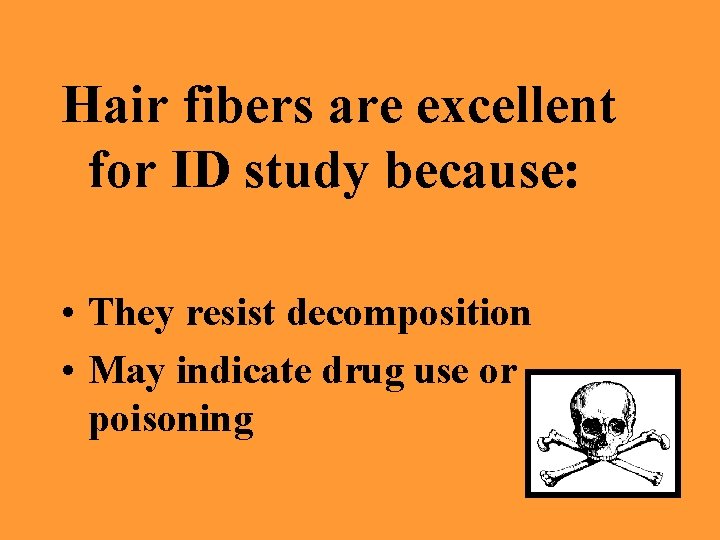 Hair fibers are excellent for ID study because: • They resist decomposition • May