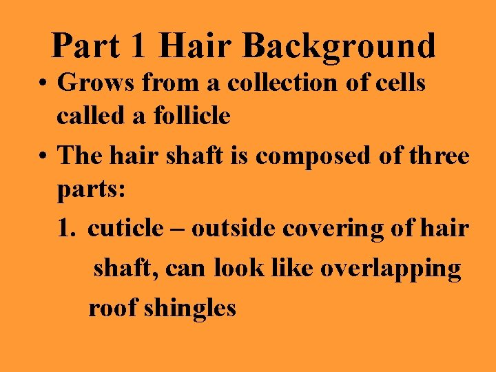 Part 1 Hair Background • Grows from a collection of cells called a follicle