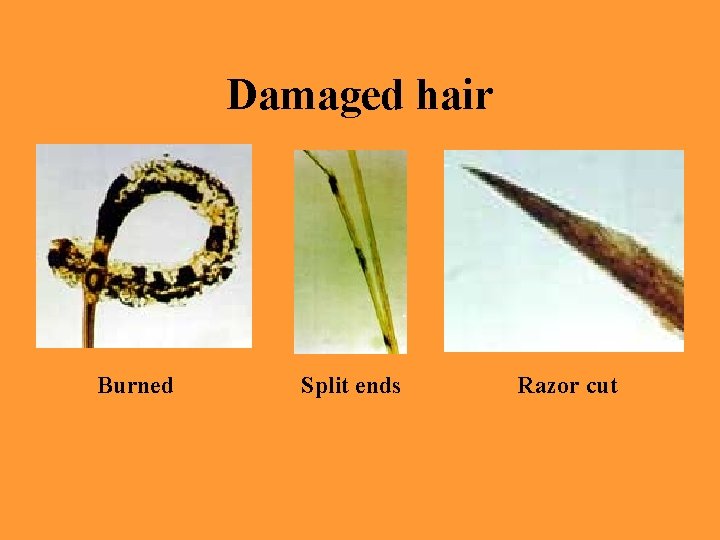 Damaged hair Burned Split ends Razor cut 