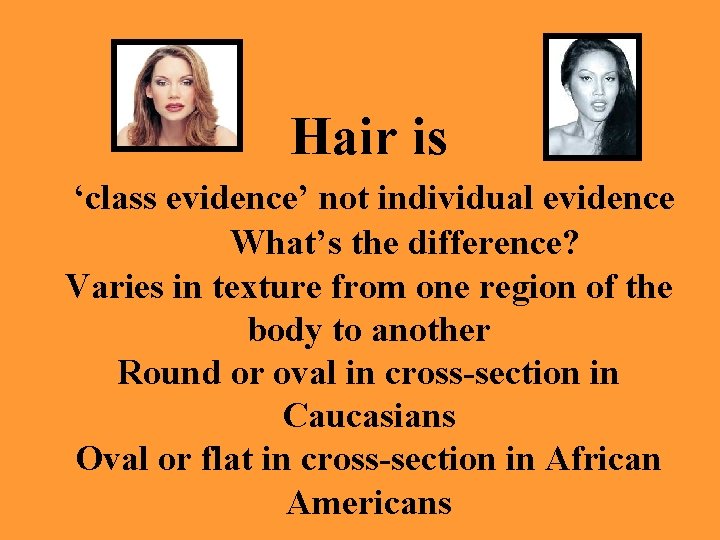 Hair is ‘class evidence’ not individual evidence What’s the difference? Varies in texture from