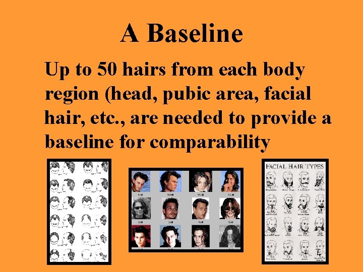 A Baseline Up to 50 hairs from each body region (head, pubic area, facial