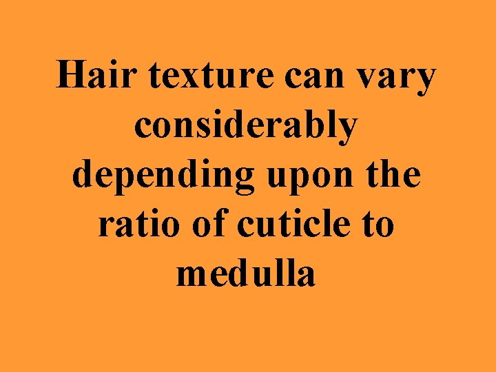 Hair texture can vary considerably depending upon the ratio of cuticle to medulla 