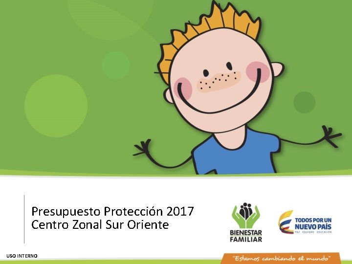 Presupuesto Protección 2017 Centro Zonal Sur Oriente USO INTERNO 