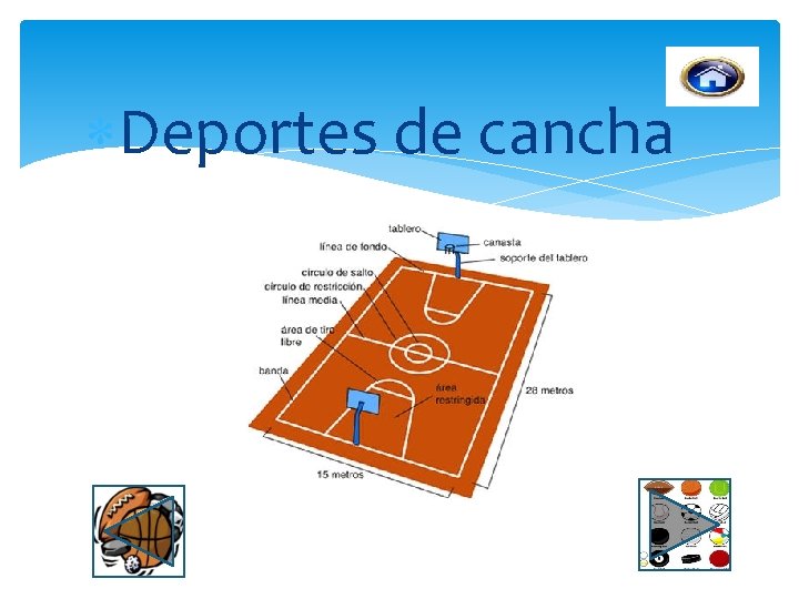  Deportes de cancha 