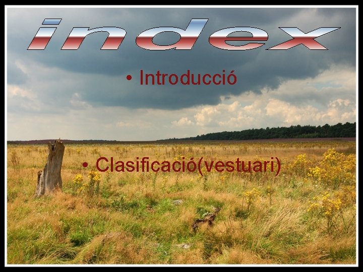  • Introducció • Clasificació(vestuari) 