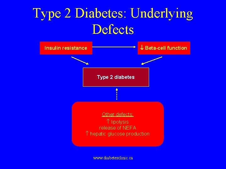 Pathophysiology Type 2 Diabetes: Underlying Defects Beta-cell function Insulin resistance Type 2 diabetes Other