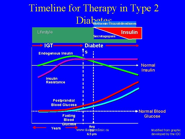 Timeline for Therapy in Type 2 Diabetes Metformin/Thiazolidinediones Lifestyle Secretagogues Insulin Diabete s IGT